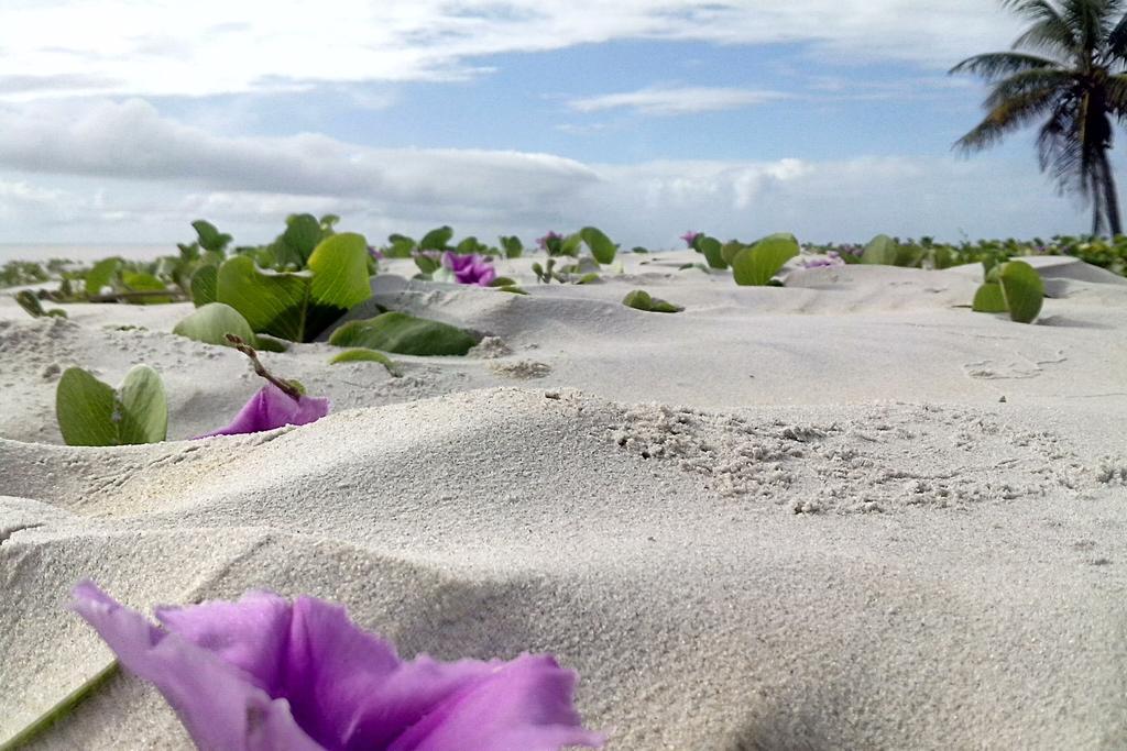 Pousada Taruma Mucuri Bagian luar foto