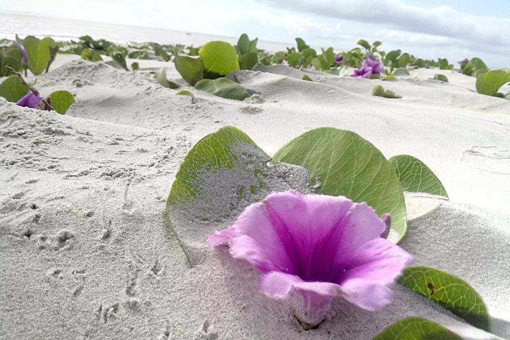 Pousada Taruma Mucuri Bagian luar foto